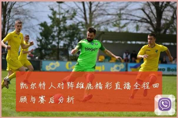 凯尔特人对阵雄鹿精彩直播全程回顾与赛后分析