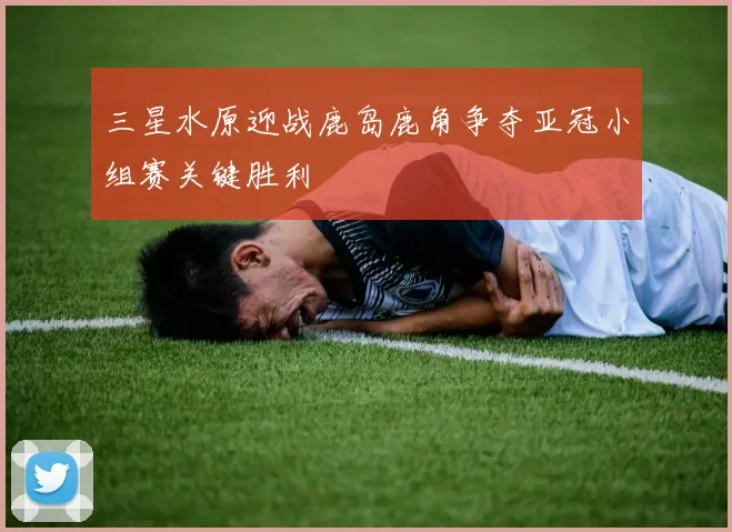 三星水原迎战鹿岛鹿角争夺亚冠小组赛关键胜利